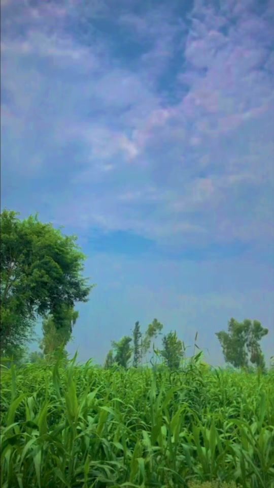 TikTok video thumbnail by gulam.raza310