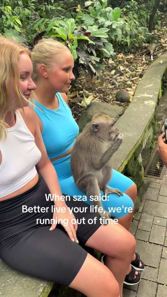 TikTok video thumbnail by lovisahanna