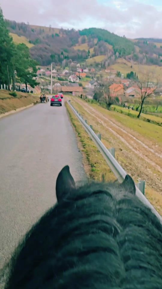 TikTok video thumbnail by roxanagheorghiu5