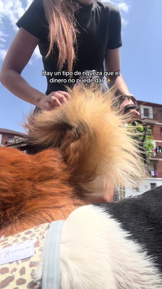 TikTok video thumbnail by meeelff