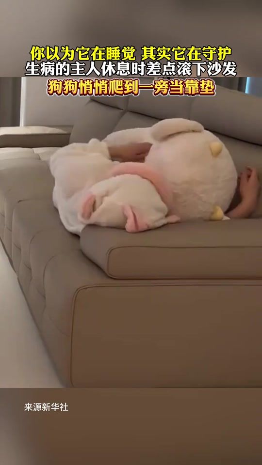 TikTok video thumbnail by cute__hana