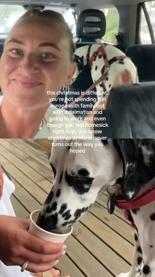 TikTok video thumbnail by shesrunningforpizza