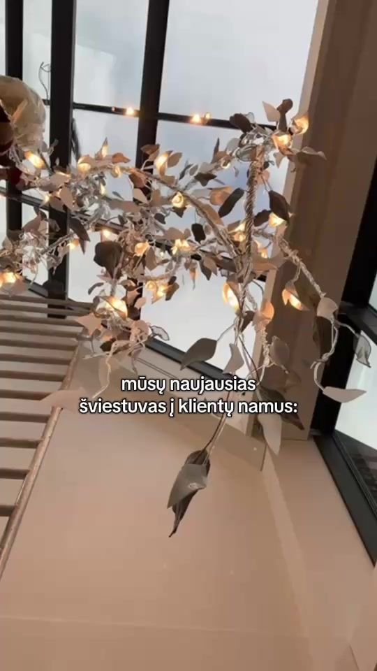 TikTok video thumbnail by pleiadeslighting