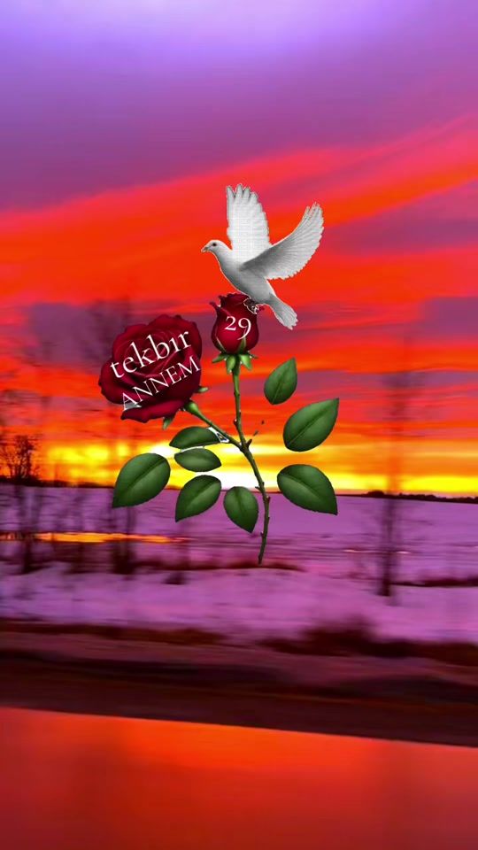 TikTok video thumbnail by tekbir2929