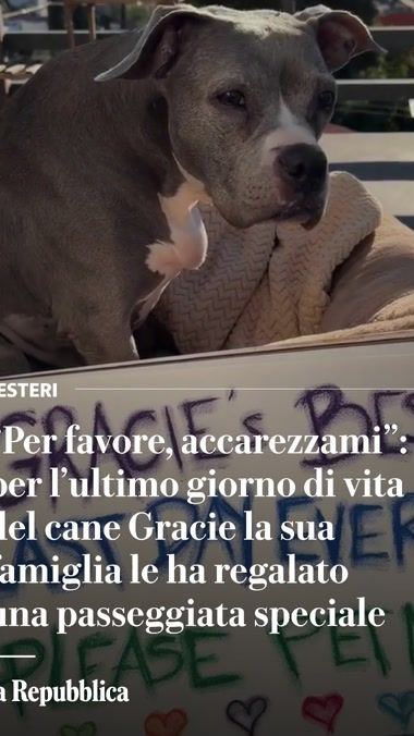 TikTok video thumbnail by la.repubblica