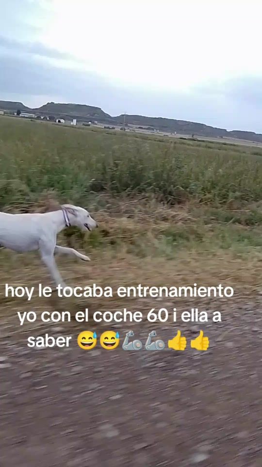 TikTok video thumbnail by rambo2500v6