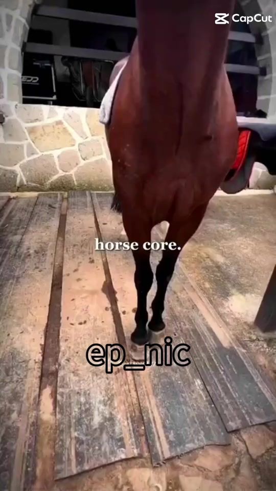 TikTok video thumbnail by hans.von.glck2