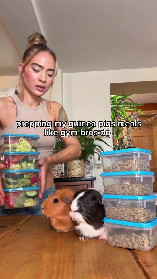 TikTok video thumbnail by remygumbs