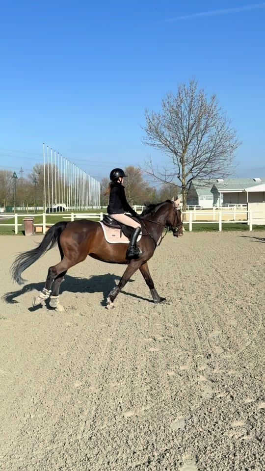 TikTok video thumbnail by flipsi.showjumping