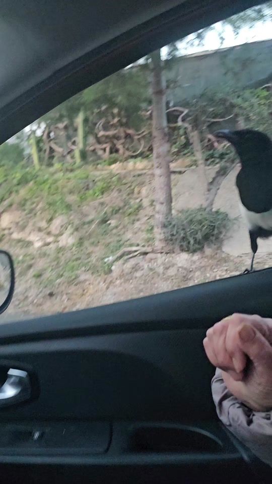 TikTok video thumbnail by yolanda6667
