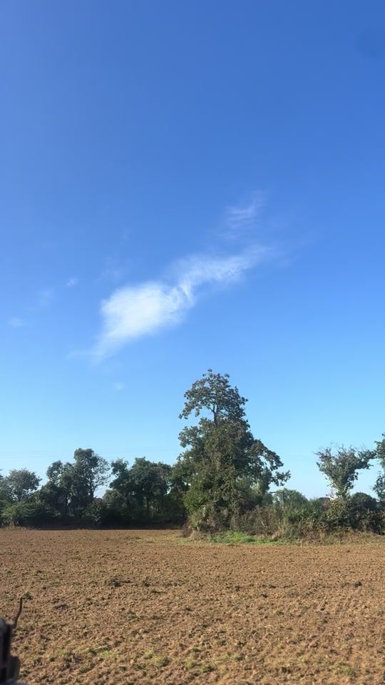 TikTok video thumbnail by agri_video