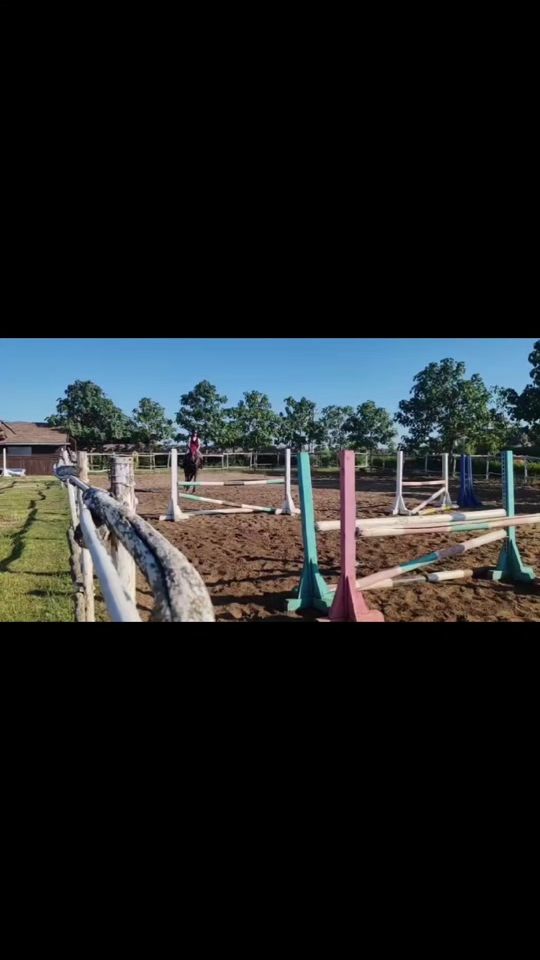 TikTok video thumbnail by petra.suveges01