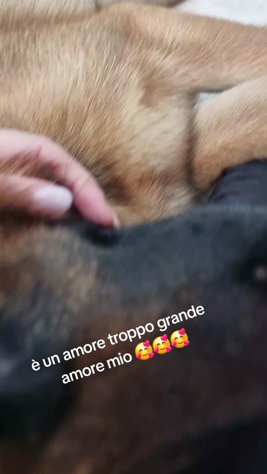 TikTok video thumbnail by stefyearon3