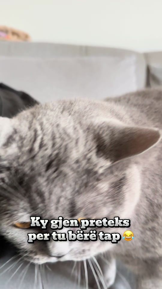 TikTok video thumbnail by max.coco.comedy