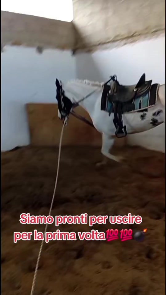 TikTok video thumbnail by attila1499