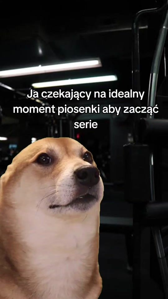 TikTok video thumbnail by kastor3
