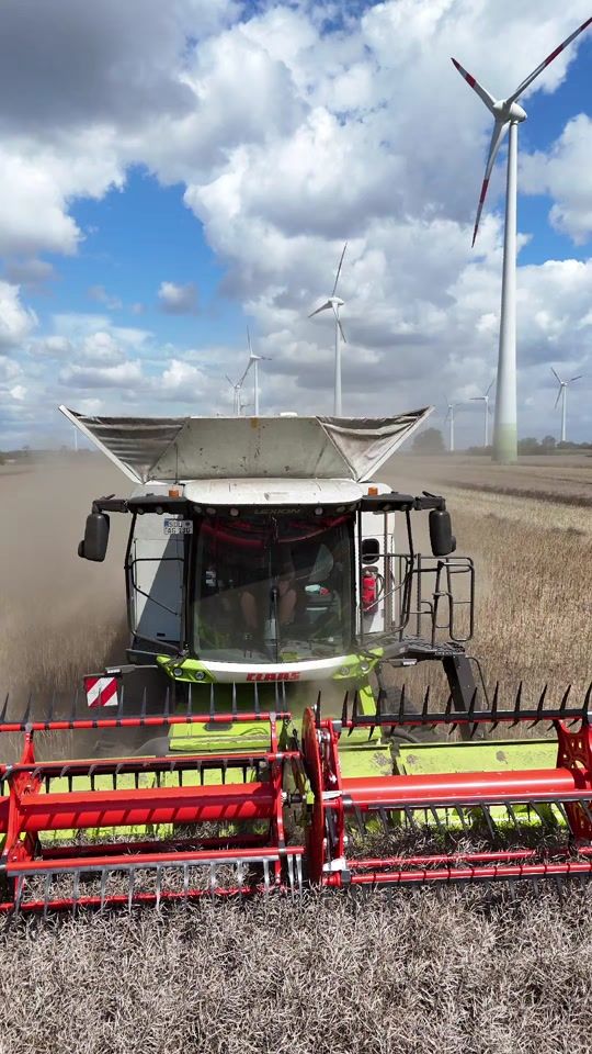 TikTok video thumbnail by altmark_steven