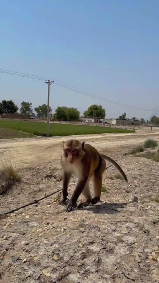 TikTok video thumbnail by z.a.technical