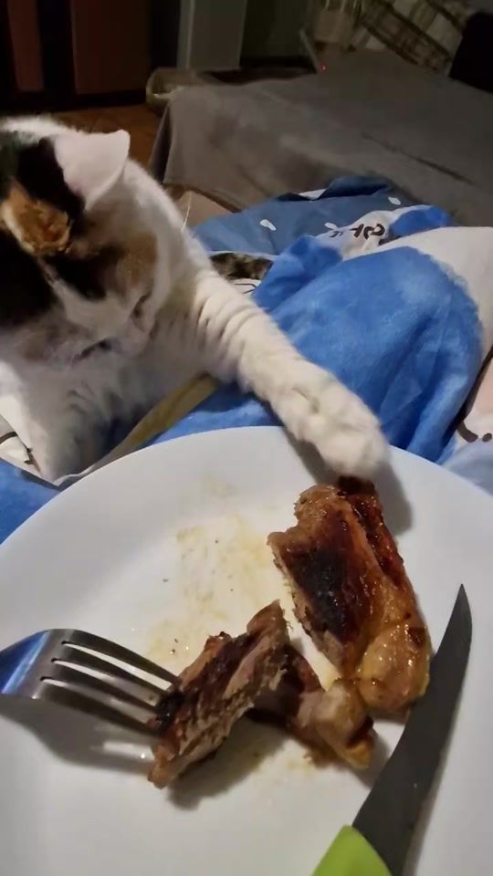 TikTok video thumbnail by balcancamelia