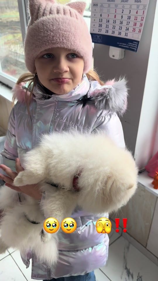 TikTok video thumbnail by pasiune.irinei
