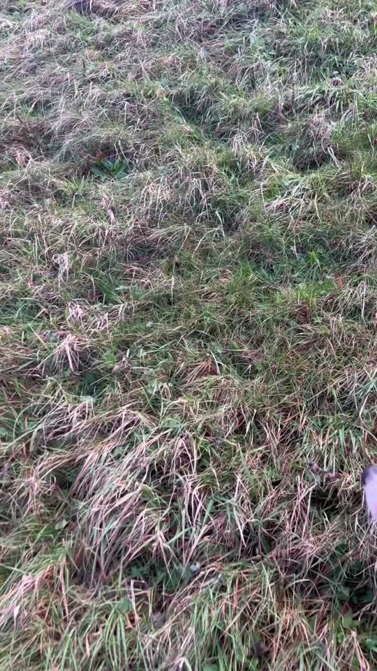 TikTok video thumbnail by thomas.delaney27