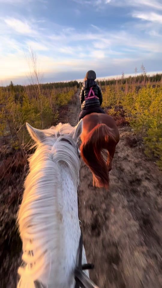 TikTok video thumbnail by equestrianinkku
