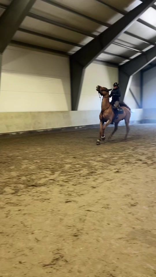 TikTok video thumbnail by oliviaedwinastrand