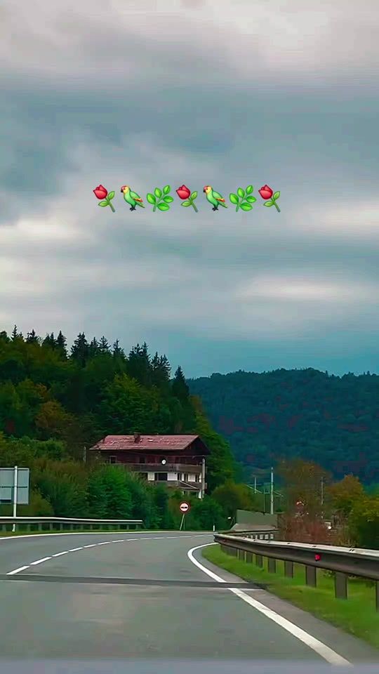TikTok video thumbnail by haidari91837492