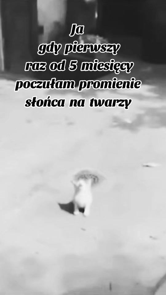 TikTok video thumbnail by goga316