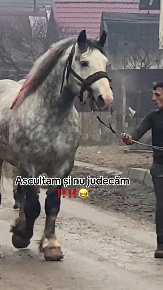 TikTok video thumbnail by claudiubodor2007