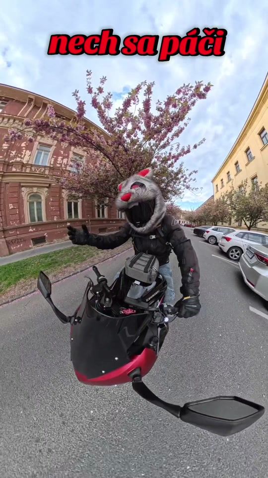 TikTok video thumbnail by lbrebel8