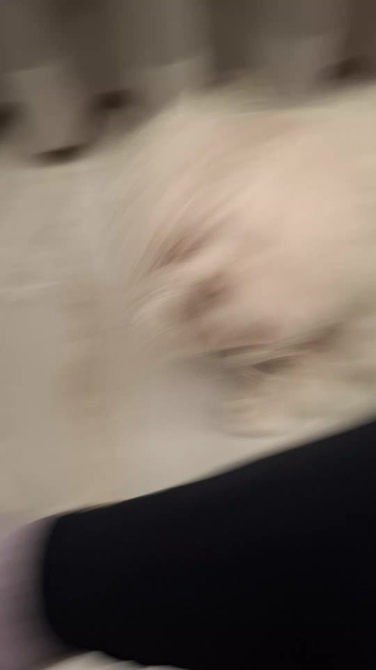 TikTok video thumbnail by stella34567891