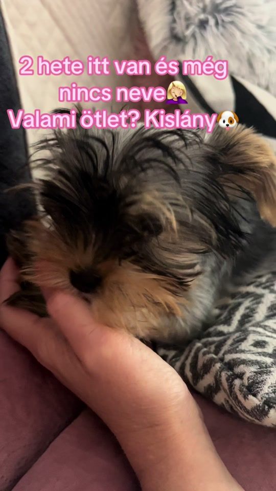 TikTok video thumbnail by katacska