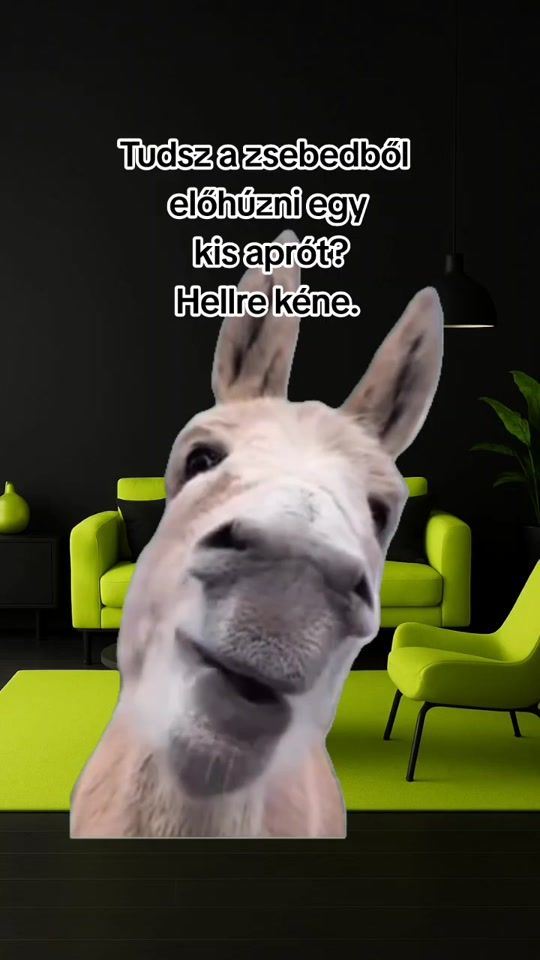 TikTok video thumbnail by blbmemek