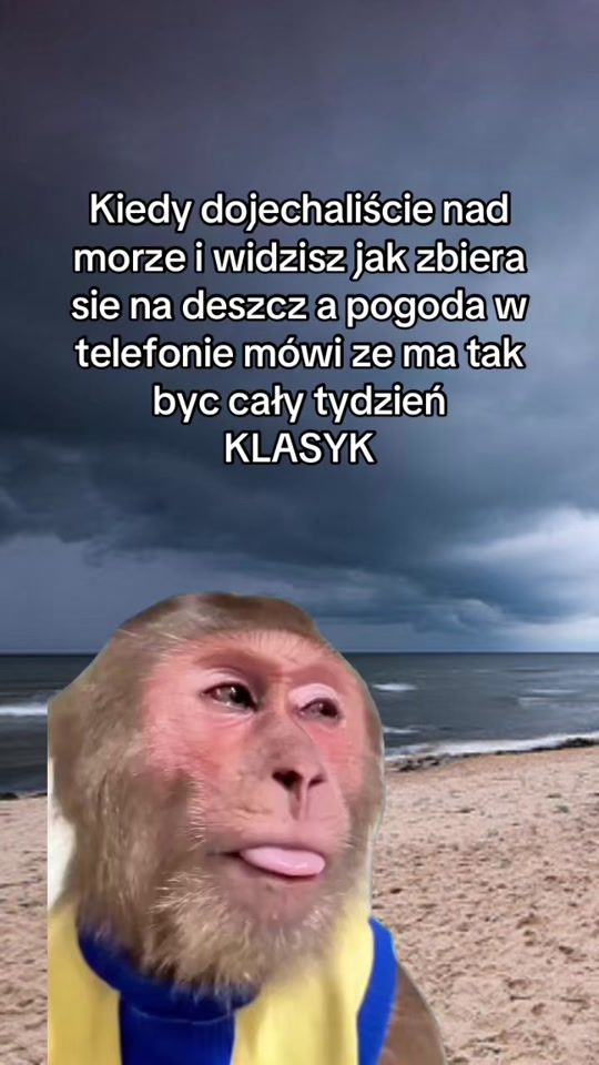 TikTok video thumbnail by fabrykamemow2