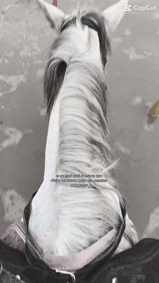 TikTok video thumbnail by _xlycia1