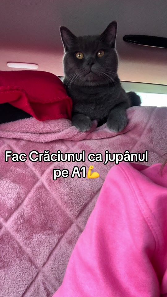 TikTok video thumbnail by gaby_gaby91