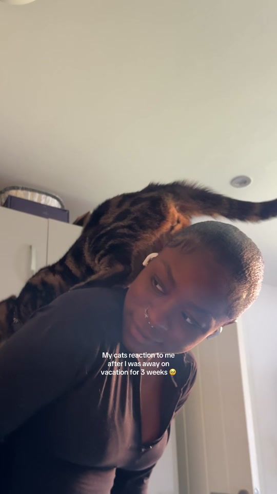 TikTok video thumbnail by aishabutterflyy