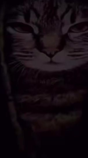 TikTok video thumbnail by aqewt.cc