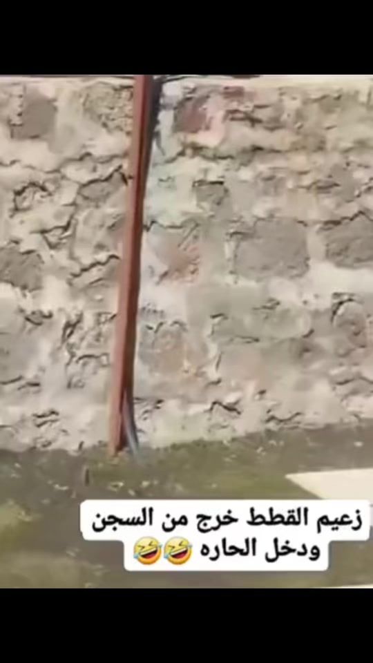 TikTok video thumbnail by fofo....26