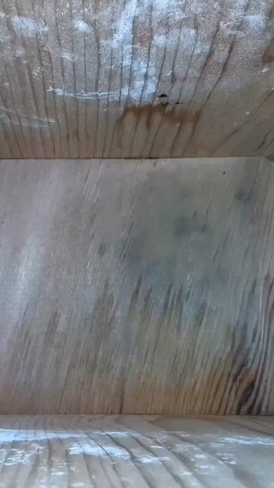 TikTok video thumbnail by nestboxlive