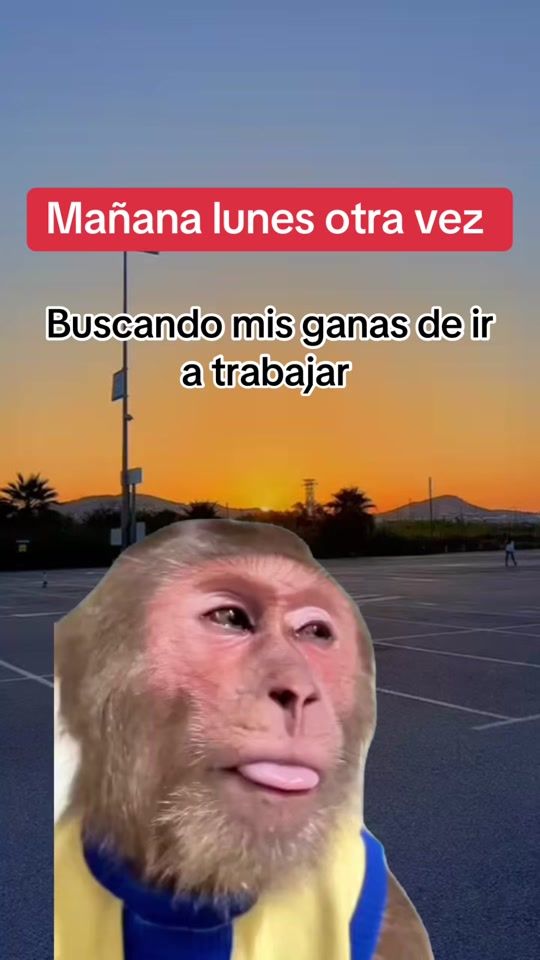 TikTok video thumbnail by martha.5812