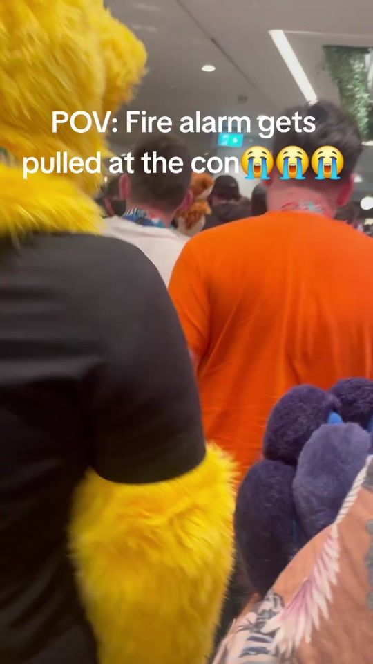 TikTok video thumbnail by thinkerdoggo