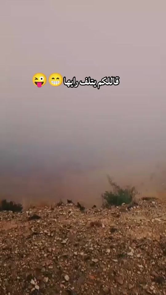 TikTok video thumbnail by moufida..dhiafi