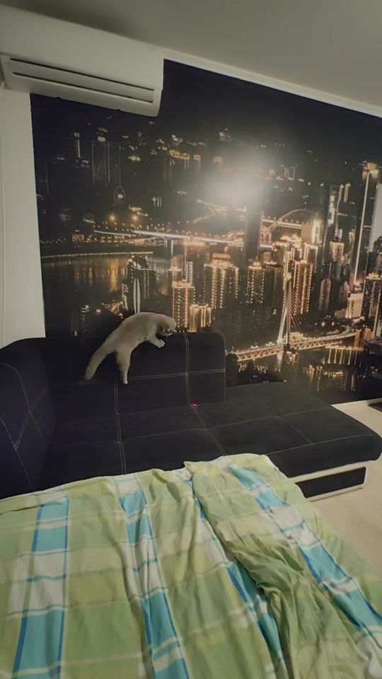 TikTok video thumbnail by florinandrei.81