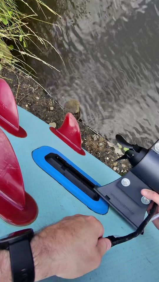 TikTok video thumbnail by paddleboardnut