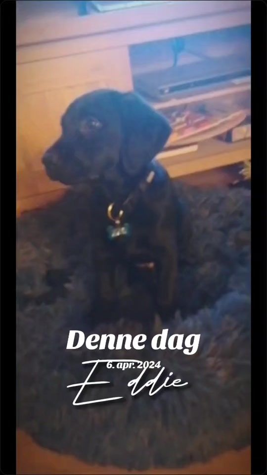 TikTok video thumbnail by ___natte___