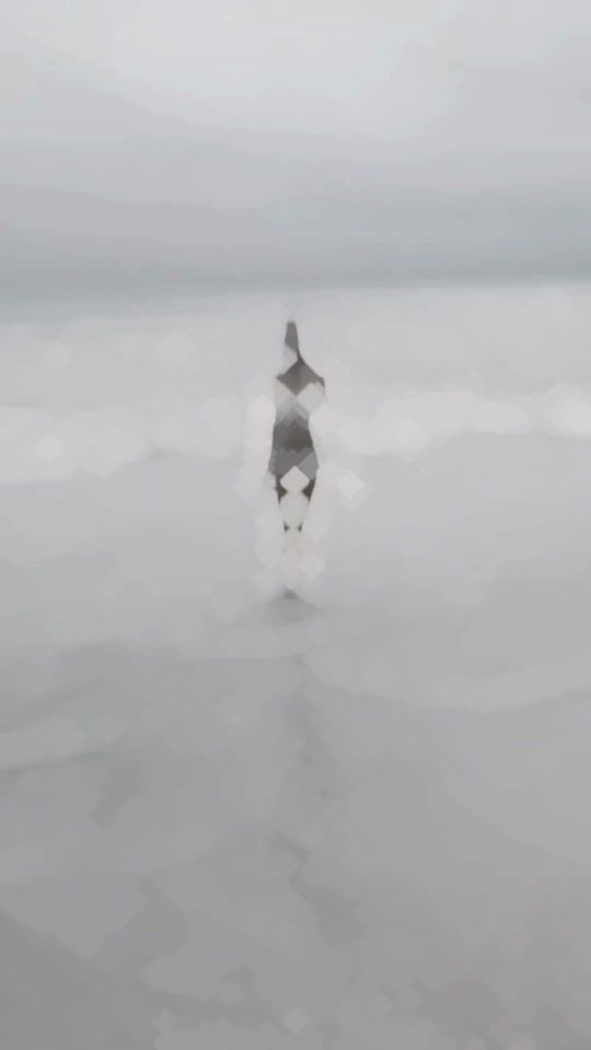 TikTok video thumbnail by laviniaraluk18