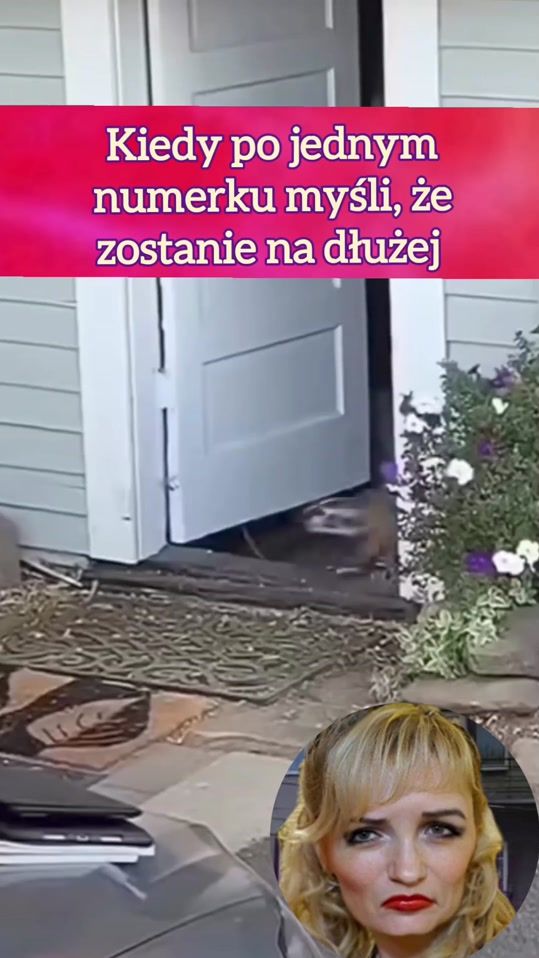 TikTok video thumbnail by countess_of_montecristo