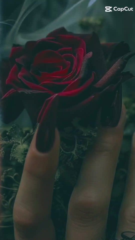 TikTok video thumbnail by angela83__